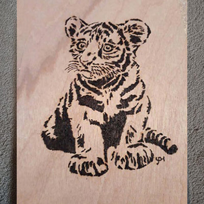 005-Tiger cub