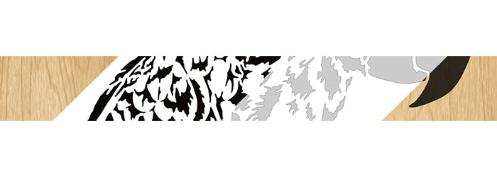 014-Parrot Fretwork Scroll Saw Pattern - Alex Fox Patterns