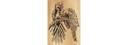 018-Parrots Fretwork Scroll Saw Pattern - Alex Fox Patterns