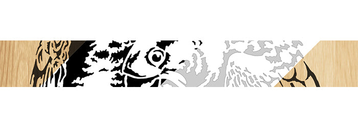 018-Parrots Fretwork Scroll Saw Pattern - Alex Fox Patterns