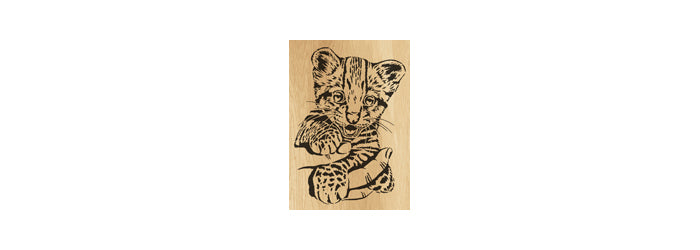 019-Cub Fretwork Scroll Saw Pattern - Alex Fox Patterns