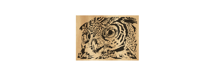 022-Owl Fretwork Scroll Saw Pattern - Alex Fox Patterns
