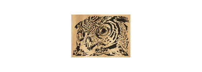 022-Owl Fretwork Scroll Saw Pattern - Alex Fox Patterns
