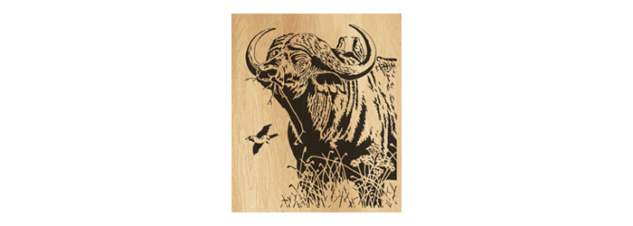 039-Buffalo Fretwork Scroll Saw Pattern - Alex Fox Patterns
