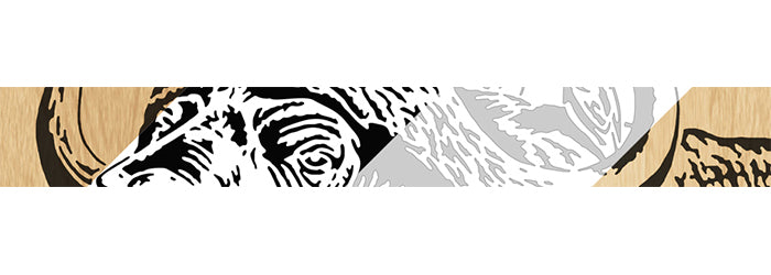 039-Buffalo Fretwork Scroll Saw Pattern - Alex Fox Patterns