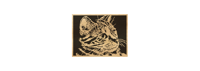 043-Cat Fretwork Scroll Saw Pattern - Alex Fox Patterns