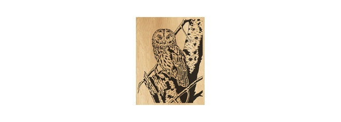 044-Owl Fretwork Scroll Saw Pattern - Alex Fox Patterns