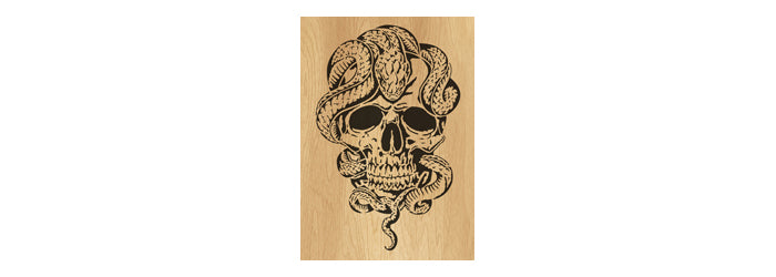053-Skull With Snake Fretwork Scroll Saw Pattern - Alex Fox Patterns