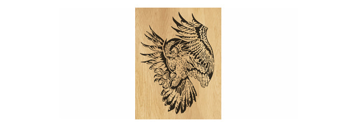 066-Owl Fretwork Scroll Saw Pattern - Alex Fox Patterns
