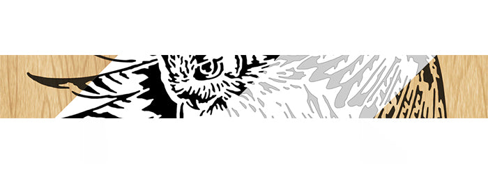 066-Owl Fretwork Scroll Saw Pattern - Alex Fox Patterns