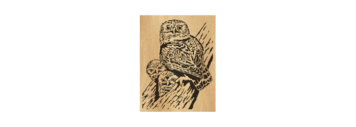 080-Owls Fretwork Scroll Saw Pattern - Alex Fox Patterns