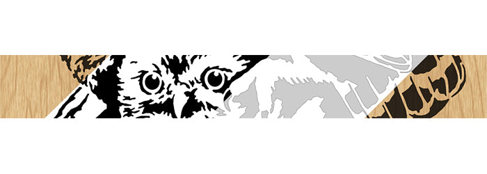 080-Owls Fretwork Scroll Saw Pattern - Alex Fox Patterns