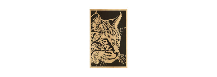082-Bobcat Fretwork Scroll Saw Pattern - Alex Fox Patterns