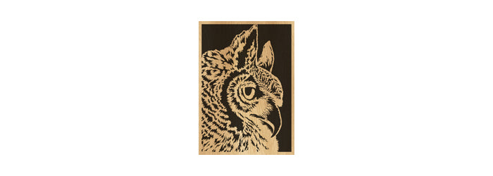 092-Owl Fretwork Scroll Saw Pattern - Alex Fox Patterns