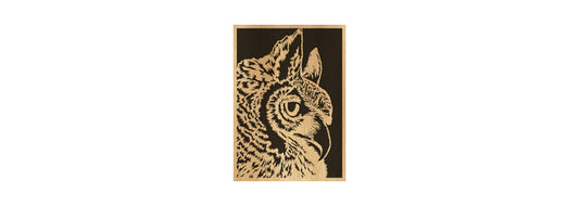 092-Owl Fretwork Scroll Saw Pattern - Alex Fox Patterns