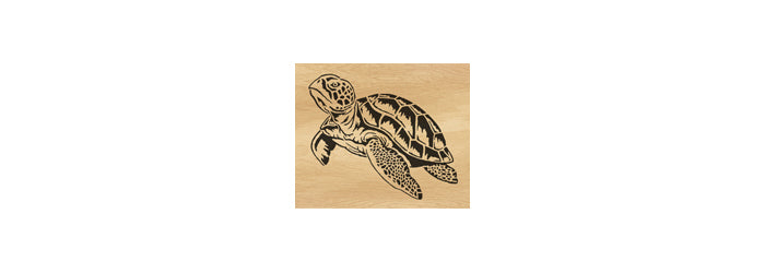 102-Turtle Fretwork Scroll Saw Pattern - Alex Fox Patterns