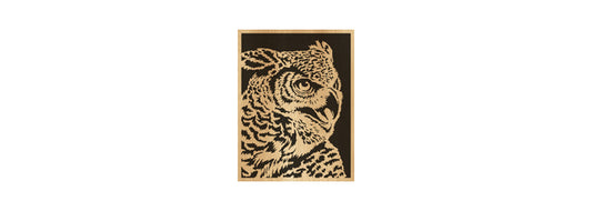 110-Owl Fretwork Scroll Saw Pattern - Alex Fox Patterns