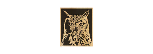 116-Owl Fretwork Scroll Saw Pattern - Alex Fox Patterns