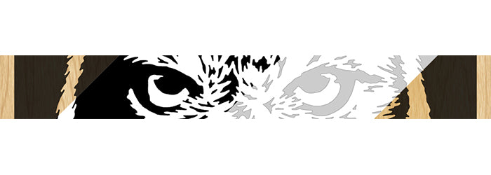116-Owl Fretwork Scroll Saw Pattern - Alex Fox Patterns