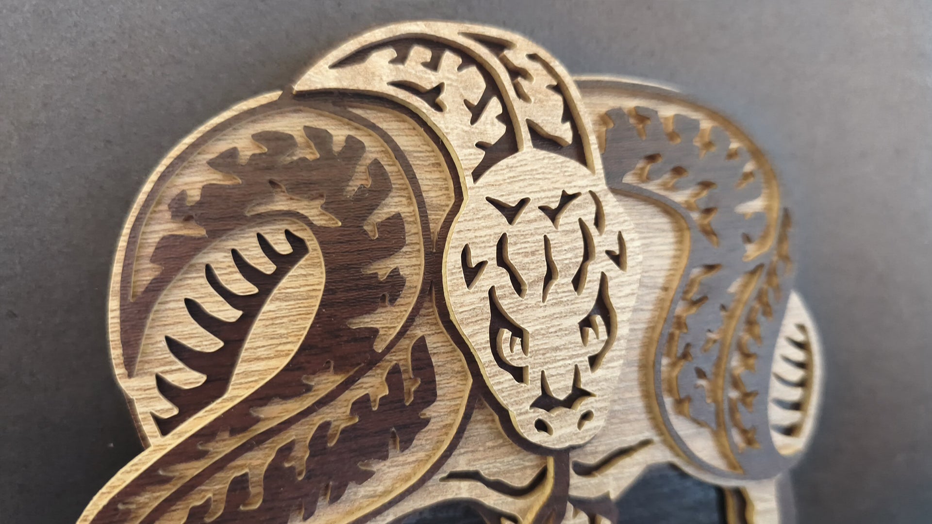 C323-Skull with Snake Layered Scroll Saw Project — Alex Fox Patterns