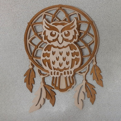 C223-Owl dreamcatcher