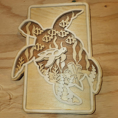 C237-Turtle