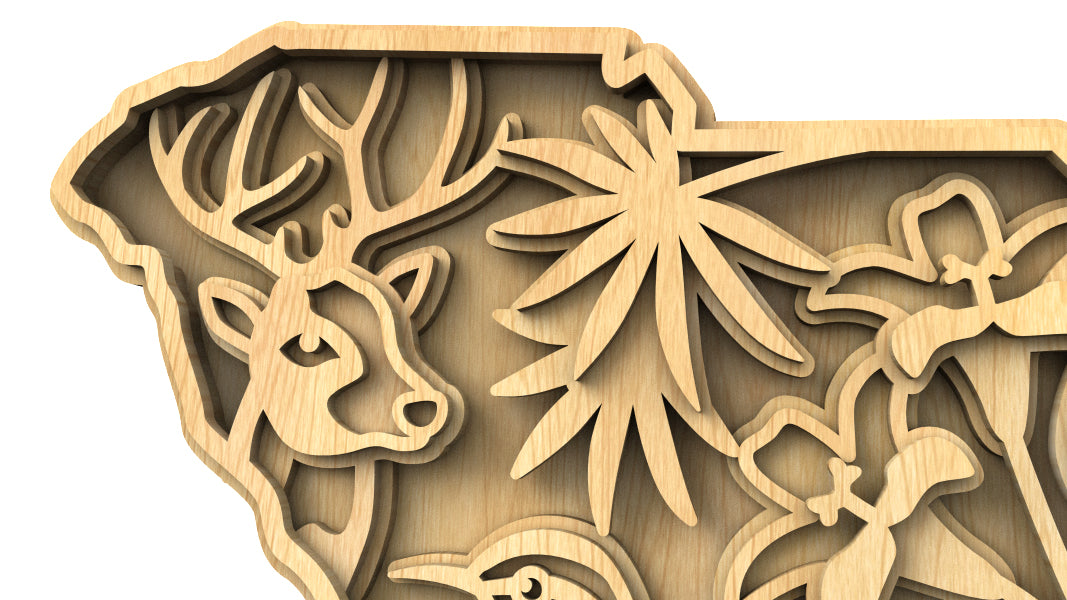 C240-South Carolina Scroll Saw Pattern - Alex Fox Patterns