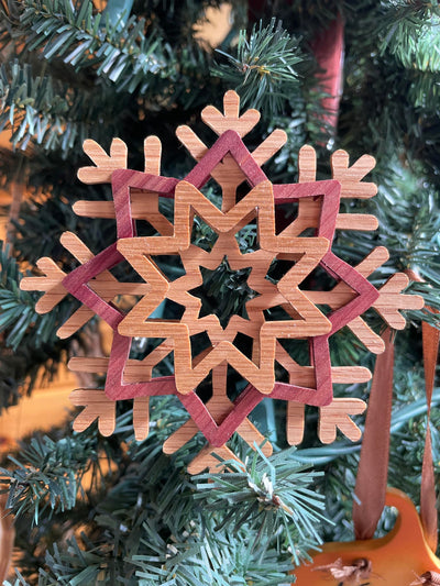 C243-Snowflake set
