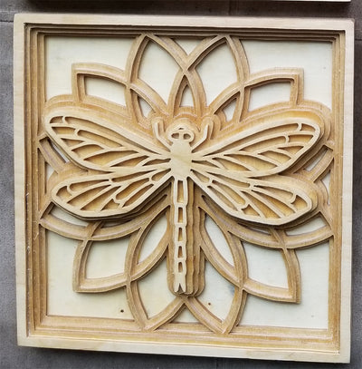 C046-Dragonfly