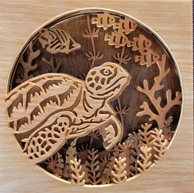 C073-Turtle