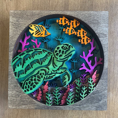 C073-Turtle