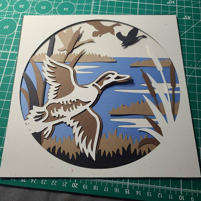 C080-Duck