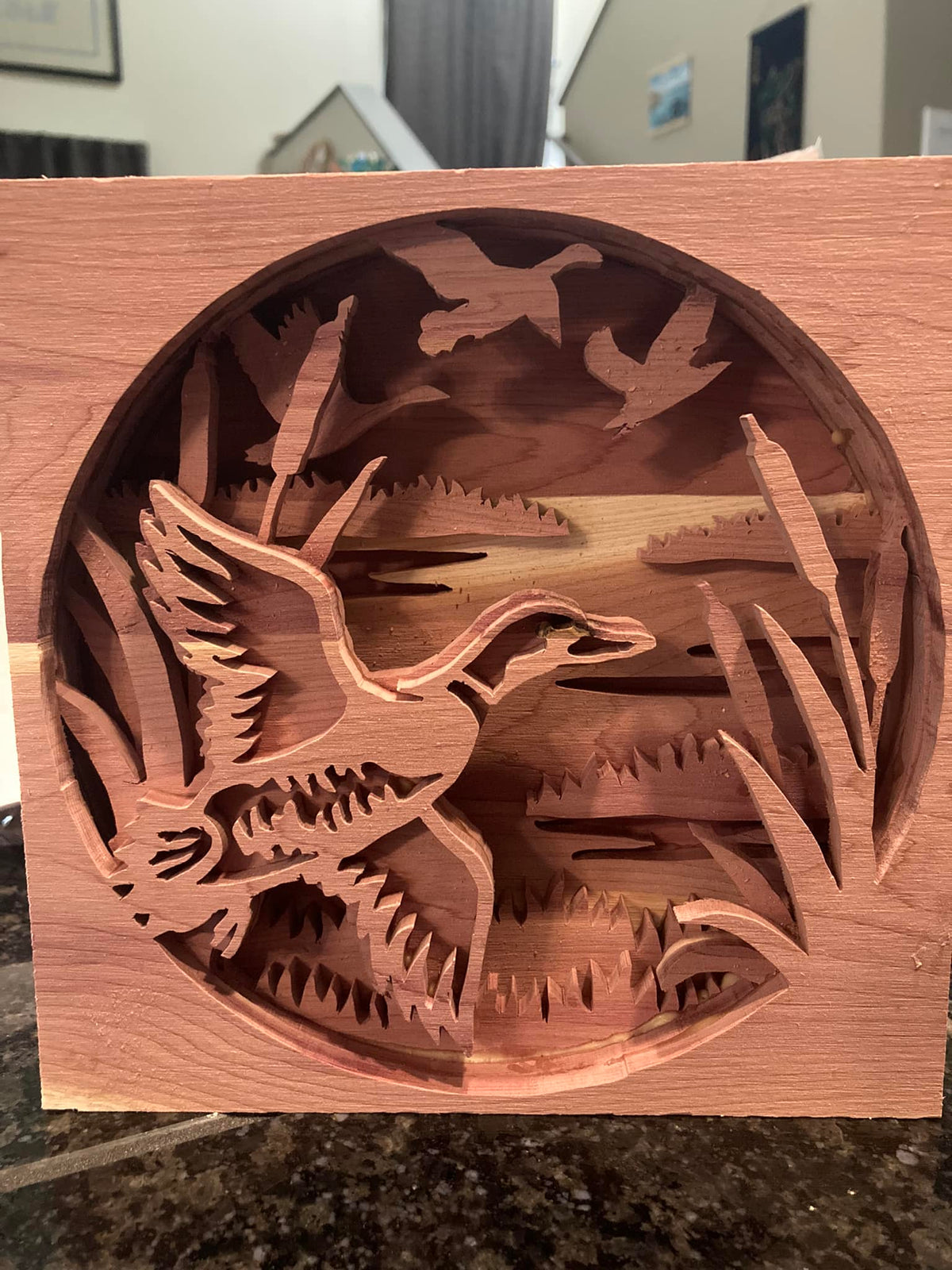 C80-duck scroll saw project - Alex Fox pattern