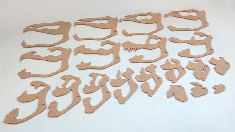C058-Dino Skull Scroll Saw Pattern - Alex Fox Patterns